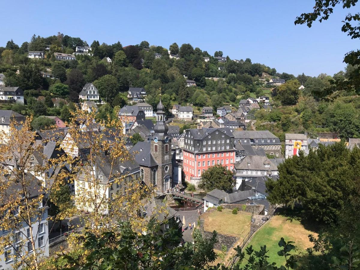 Villa Holgenbach - Penthouse- Und Ferienwohnung Im Nationalpark Eifel Schleiden Eksteriør billede
