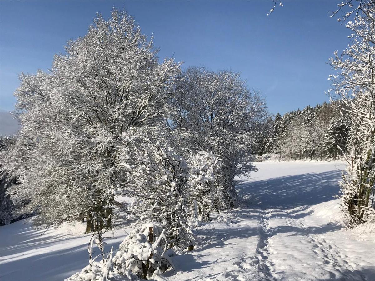 Villa Holgenbach - Penthouse- Und Ferienwohnung Im Nationalpark Eifel Schleiden Eksteriør billede