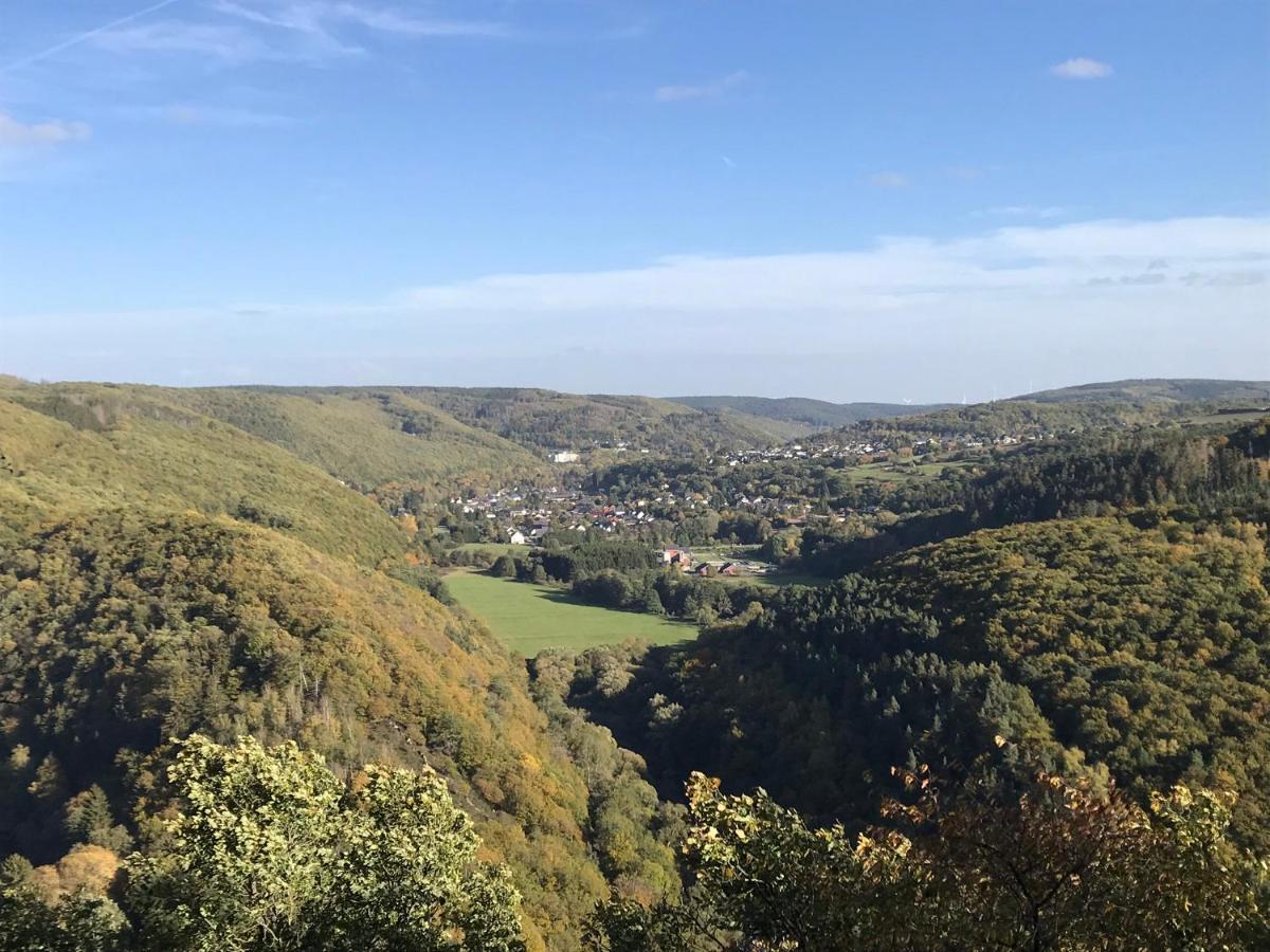 Villa Holgenbach - Penthouse- Und Ferienwohnung Im Nationalpark Eifel Schleiden Eksteriør billede