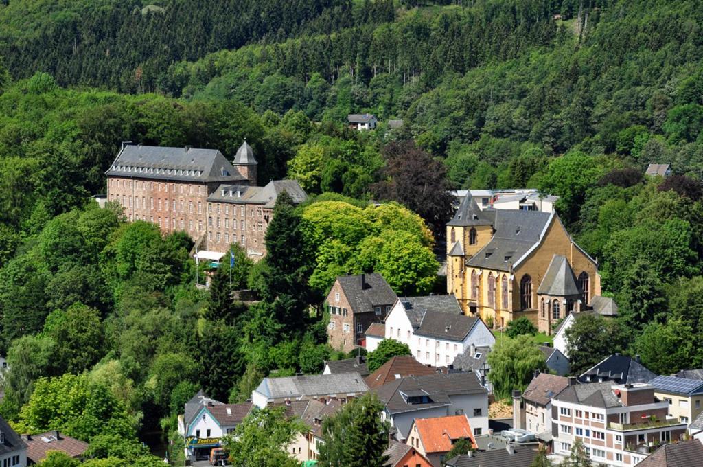 Villa Holgenbach - Penthouse- Und Ferienwohnung Im Nationalpark Eifel Schleiden Eksteriør billede