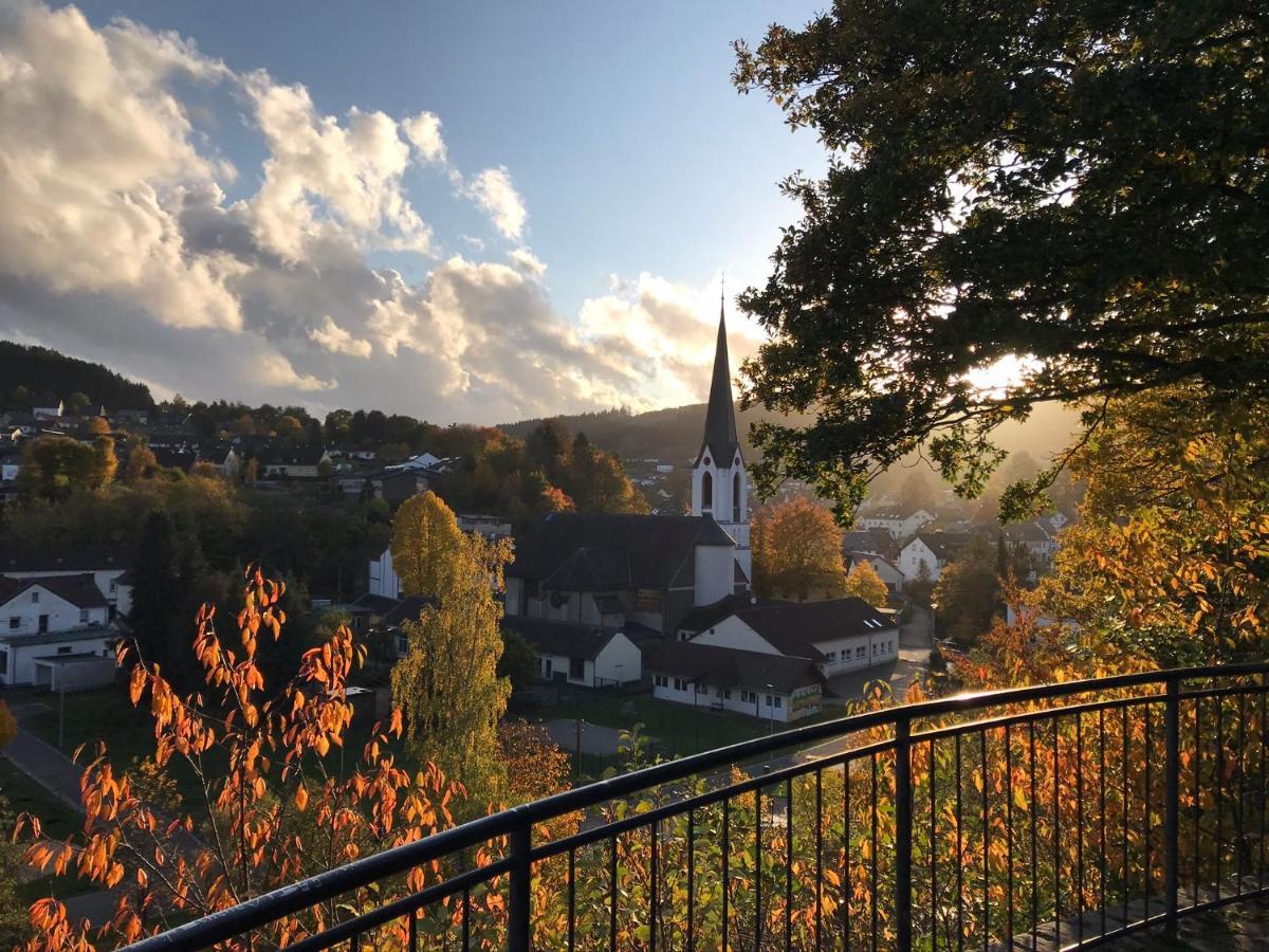Villa Holgenbach - Penthouse- Und Ferienwohnung Im Nationalpark Eifel Schleiden Eksteriør billede