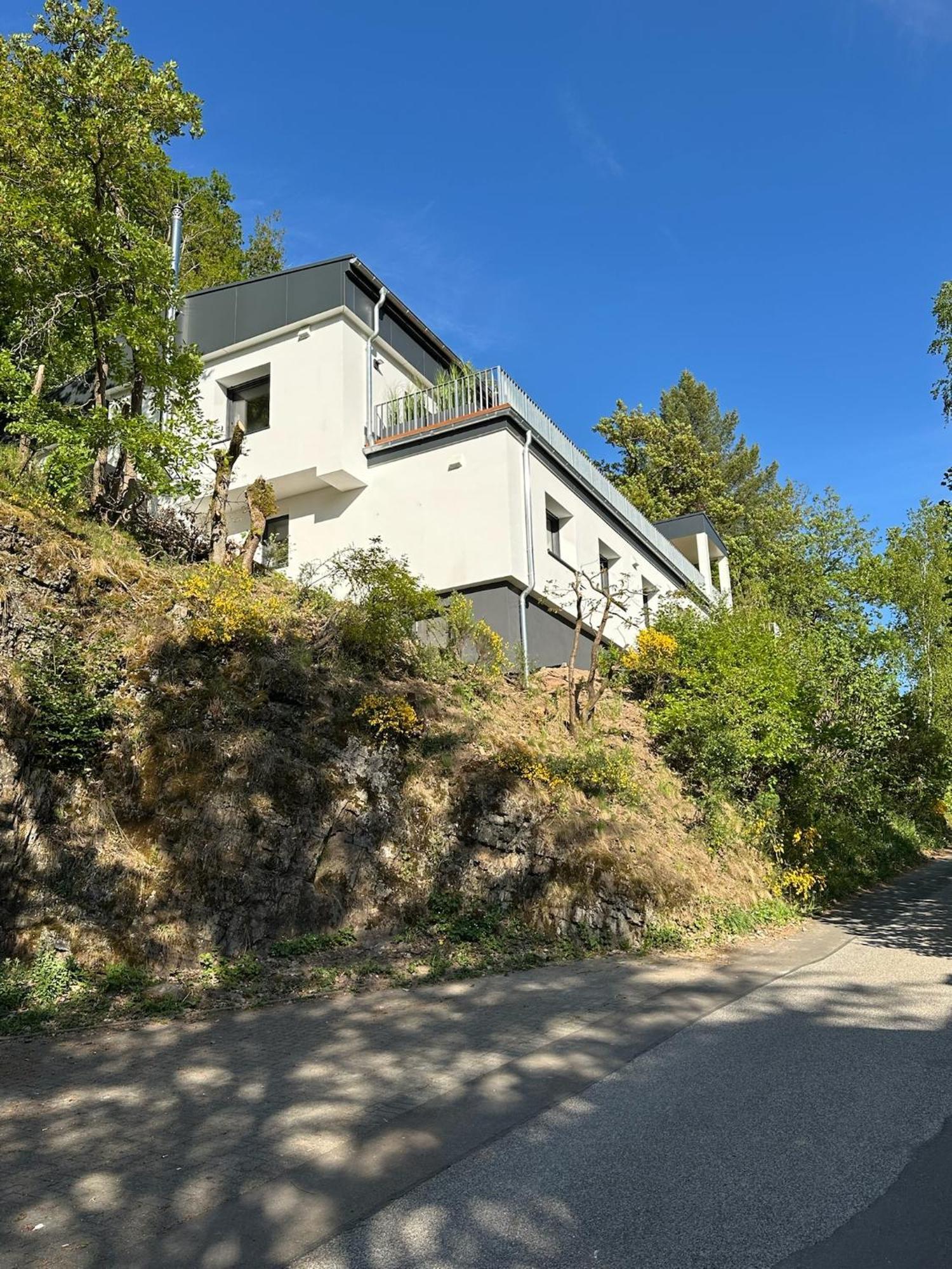 Villa Holgenbach - Penthouse- Und Ferienwohnung Im Nationalpark Eifel Schleiden Eksteriør billede