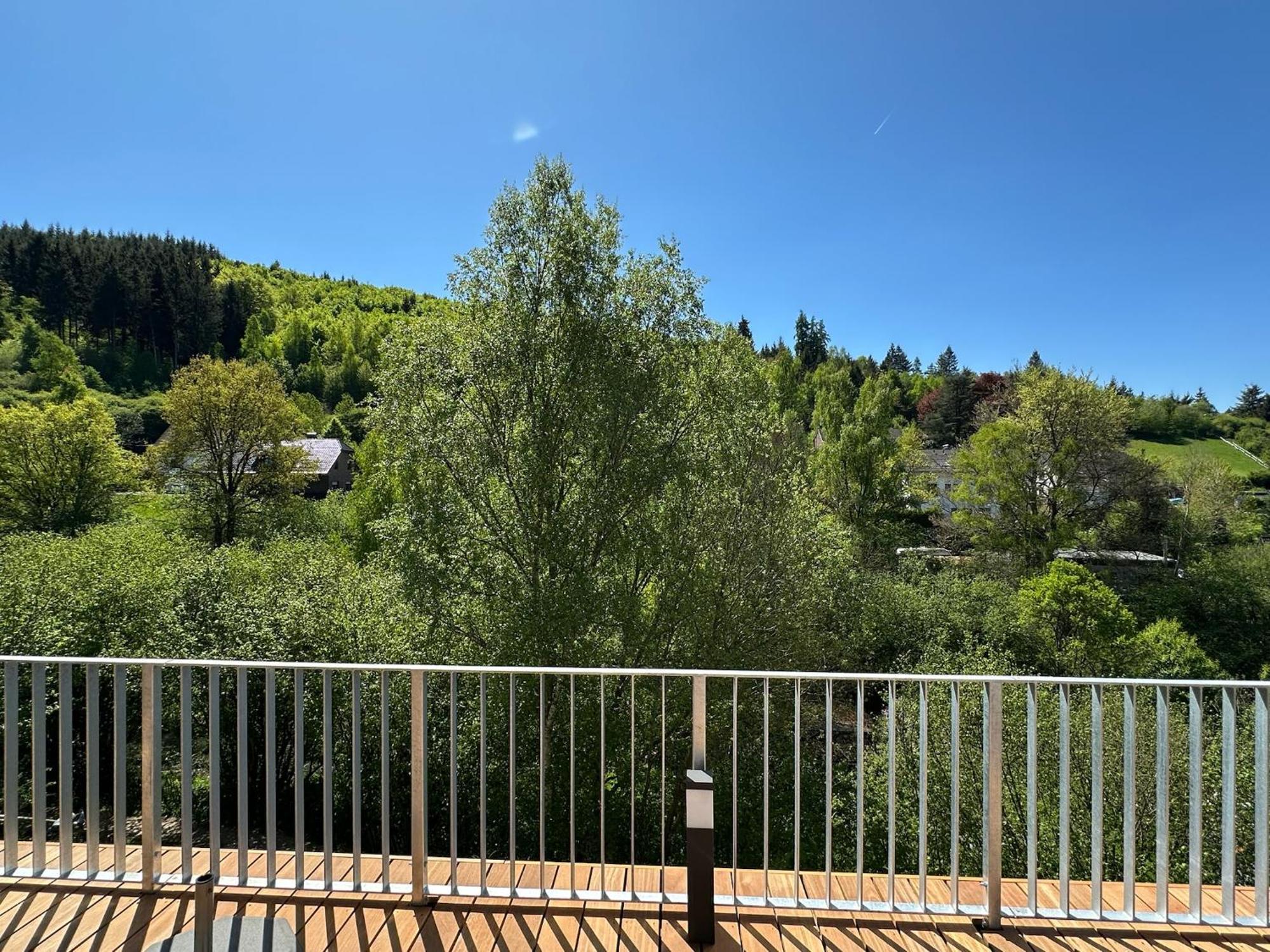 Villa Holgenbach - Penthouse- Und Ferienwohnung Im Nationalpark Eifel Schleiden Eksteriør billede