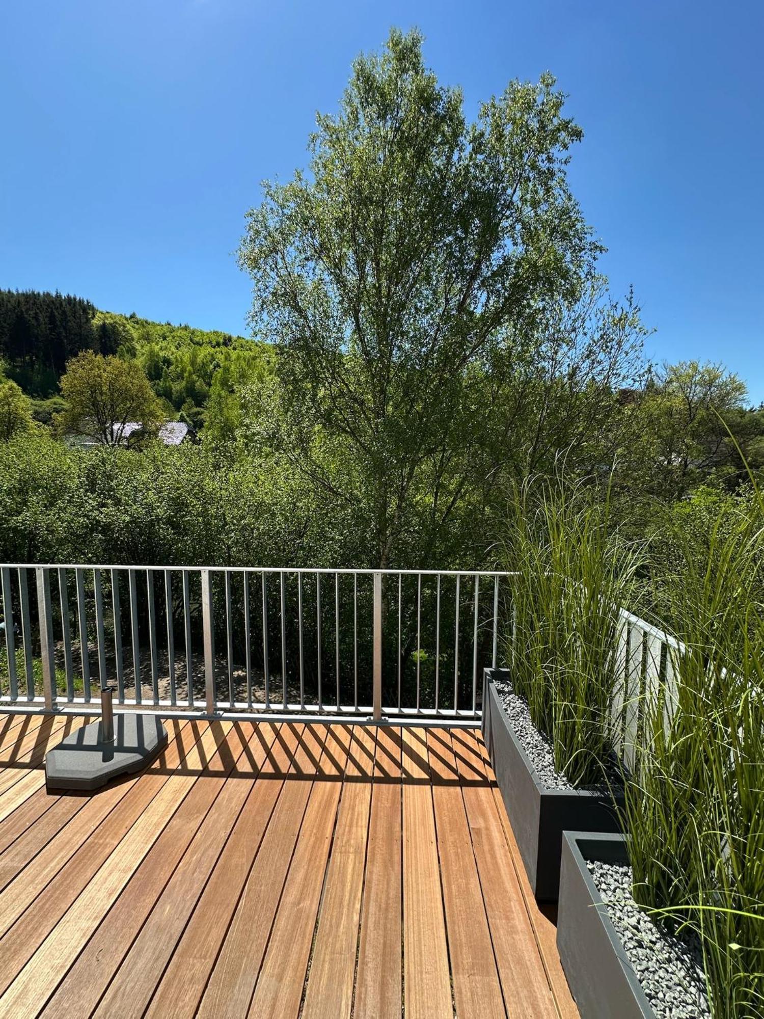 Villa Holgenbach - Penthouse- Und Ferienwohnung Im Nationalpark Eifel Schleiden Eksteriør billede